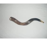 60-69 cm (24"-27") Kudu Yemenite HORN SHOFAR Kosher All Polished New
