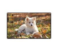 60" 72" 84" 100" 120" 130" Foldable Portable Projector Movies Screens, 16:9 4K HD Wall-Mounted Projection Screen for Indoor Outdoor(100" (16:9))