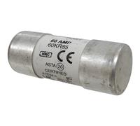 60 Amp House Mains Service Cut-Out Fuse 23x57mm 60A KR85 BS1361