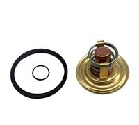 60°C Thermostat Kit Compatible With Penta M2 MD6 MD7 Marine Diesel Engines Fits RO Numbers 875796 833366 18-3665(Thermostat)