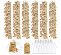 60 packs Party Return Favors, BOSOIRSOU Bear Baby Shower Favors Including Bear Keychains Organza Bags Thank You Kraft Tags for Kids Birthday Party Supplies, School Carnival Rewards