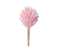 60 Pcs Bunny Tails Dried Flowers, Pampas Grass Decor Rabbit Tail Natural Pampas Grass Bulk Fluffy Faux Pampas Grass Dried for Home Decorating Vases and Wedding Decoration Parties (Pink without Vase)