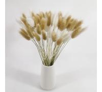 60 Pcs Bunny Tails Dried Flowers Pampas Grass Home Decor Dried Grasses for Vases Cake, 30 Pcs Primary + 30 Pcs White Bunny Tails Rabbit Tails Dried Flowers Bouquet Small Dried Flowers Decoration