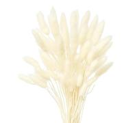 60 Pcs Bunny Tails Dried Flowers, White Bunny Tails Dried Flowers, White Pampas Grass for Vase, Suitable for decorating vases and wedding decoration parties