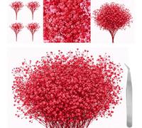 60 Pcs Dried Pressed Baby Breath Flowers Artificial with Tweezer, Real Nature Gypsophila Dried Flowers for Resin Art Crafts DIY Card Making Wedding Card Cakes (Red)