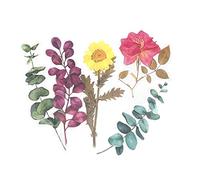 60 Pcs Flowers Plants Sticker Set, PET Transparent Decorative Stickers Self-Adhesive Plants Stickers for Scrapbooking Arts DIY Crafts Notebook Journals Wall etc.(Style 5,Medium Size)