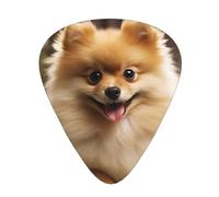 60 Pcs Guitar Picks Bulk 3 Different Thickness Personalized Guitar Plectrums With Storage Box Cute Pomeranian Dog Guitar Accessories For Bass Electric Guitar Acoustic Guitar Lovers