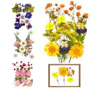 60 Pcs Pressed Dried Flowers, Dried Flowers for Resin, Mixed Multiple Natural Flower Leaves, Real Pressed Flower for DIY Jewelry Making Nail Card Scrapbook Art Craft Eternity Summer(4 Packs)
