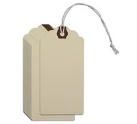 60 Pieces Gift Tags with String Blank Manila Shipping Tag Paper Luggage Tags - Inventory, Luggage, Present, Cardboard Labels - Hang Tag with Reinforced Hole 11.8 x 5.8cm (Beige)
