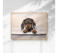 60 SECOND MAKEOVER Dachshund In The Bath Quirky Animal Print | Size: A4 60 SECOND MAKEOVER Multicolor A4