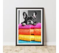 60 SECOND MAKEOVER French Bulldog Colourful Towels Animal Print | Size: A4 60 SECOND MAKEOVER Multicolor A4
