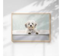 60 SECOND MAKEOVER Havanese In The Bath Quirky Animal Print | Size: A3 60 SECOND MAKEOVER Multicolor A3