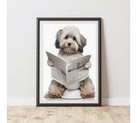 60 SECOND MAKEOVER Havanese On The Toilet Print | Size: A3 60 SECOND MAKEOVER Multicolor A3