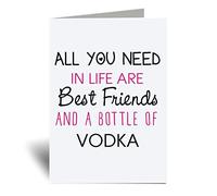 60 Second Makeover Limited All You Need Best Friends And A Bottle Of Vodka Greeting Cards Funny Alcohol Birthday Cards For Women Best Friend Birthday Gifts Bestie Gifts