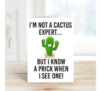 60 Second Makeover Limited Cactus Card Funny I'm Not A Cactus Expert But I Know A Prick When I See One Gardening Cactus Lover Gift Card