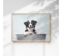 60 Second Makeover Limited Collie In The Bath Quirky Animal Print Bathroom Accessories Wall Art Posters Pictures For Bathroom Walls Home Accessories Home Decoration No Frame - A3