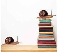 60 Second Makeover Limited Full Colour Snail Wall Sticker Decals Set of 2 Querky Wall Art Tattoo Nature Snails