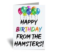 60 Second Makeover Limited Happy Birthday From The Hamsters Card Greeting Card Pet