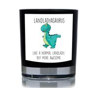60 Second Makeover Limited Landladysaurus, Like A Normal Landlady But More Awesome, Dinosaur Funny 20 andle