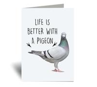 60 Second Makeover Limited Life is Better With A Pigeon Greeting Cards Birthday Cards Pigeon Gifts Notelets Notecards All Occasions Bird Lovers Gifts A6 Envelope Included