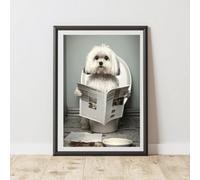 60 Second Makeover Limited Maltese On The Toilet Print A3 Size