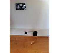 60 Second Makeover Limited Micky's House Mouse Hole Wall Sticker Landing Hall Idea Skirting Board