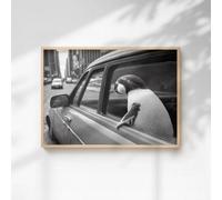 60 Second Makeover Limited Penguin In A Car Print A3 Size