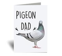 60 Second Makeover Limited Pigeon Dad Greeting Cards Pigeon Gifts For Men Friend Fathers Day Funny Birthday Cards Bird Lover Gifts Notelets Fathers Day Present With Envelope