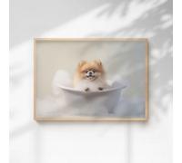 60 Second Makeover Limited Pomeranian In The Bath Quirky Animal Print A3 Size