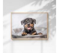 60 Second Makeover Limited Rottweiler In The Bath Quirky Animal Print A3 Size