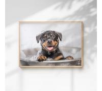 60 SECOND MAKEOVER Rottweiler In The Bath Quirky Animal Print | Size: A4 60 SECOND MAKEOVER Multicolor A4