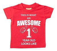 60 Second Makeover Limited This is What an Awesome 1 Year Old Looks Like Perfect 1st Birthday Gifts for Boys and Girls, First Birthday Outfit, Present for 1 Year Old Red Tshirt 12-18 Months