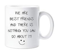 60 Second Makeover Limited We are Best Friends and There is Nothing You Can Do About It Mug Sarcasm Sacrastic Bestfriend Gifts for Best Friend Funny Gift Cup Birthday Christmas Bestie Present BFF