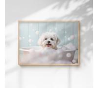 60 SECOND MAKEOVER Maltese In The Bath Quirky Animal Print | Size: A4 60 SECOND MAKEOVER Multicolor A4