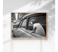 60 SECOND MAKEOVER Penguin In A Car Print | Size: A4 60 SECOND MAKEOVER Multicolor A4