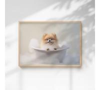 60 SECOND MAKEOVER Pomeranian In The Bath Quirky Animal Print | Size: A3 60 SECOND MAKEOVER Multicolor A3