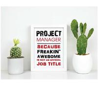 60 SECOND MAKEOVER Project Manager Because Freakin Awesome Isn't An official Job Title Inspirational Quote in Frame in White 60 SECOND MAKEOVER White