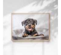 60 Second Makeover Limited Rottweiler In The Bath Quirky Animal Print Bathroom Accessories Wall Art Posters Pictures For Bathroom Walls Home Accessories Home Decoration No Frame - A4