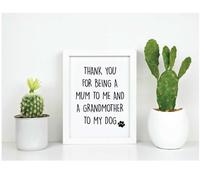 60 SECOND MAKEOVER Thank You For Being A Mum To Me & A Grandmother To My Dog Inspirational Quote in Frame in White 60 SECOND MAKEOVER White
