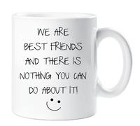 60 Second Makeover Limited We are Best Friends and There is Nothing You Can Do About It Mug Sarcasm Sacrastic Friend Funny Gift Cup Birthday Christ