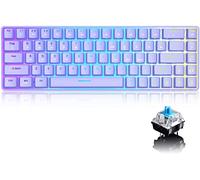 60% True Mechanical Gaming Keyboard Type C Wired 68 Keys LED Backlit USB Waterproof Keyboard 18 Chroma RGB Lighting Backlight Full Anti-ghosting Keys for Gamers and Typists (Purple/Blue Switch)