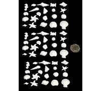 60 x edible 3D seashells sea shells, icing toppers, cake cupcakes decorations (Baby Blue)