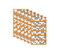 600 Bingo Tickets to View Flyers, 6 Packs in Colour With Big, Bold and Easy to Read Numbers for Traditional Game Party, Family Function, Get together. (Orange)
