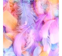 600 Pcs Feather for Crafts, Colorful Feathers for Crafts, Coloured Feathers, Bulk Natural Goose Feathers for Hats DIY Arts and Crafts Dream Catcher Vase Carnival Decorations Feathers(Macaron Color)