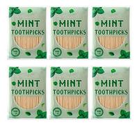 600 Pcs Mint Flavor Toothpicks Bulk Natural Wood Flavored Cinnamon Toothpicks for Kitchen Restaurant Supply Adults Humans Oral Dental Health