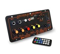 600W 5.0 MP3 Amplifier Board 12V 24V Dual Microphone AMP Module USB TF FM Car Music Lossless Bass Sound for Subwoofer(D300 600W Amplifier)