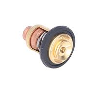 60ºC 140 Outboard Engine Thermostat, Boat Motor Thermostat 66M1241100 6G81241101 Replacement for 4Stroke Outboard Motor