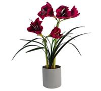 60cm Artificial Amarylis Pink