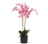 60cm Artificial Luxury Orchid - Triple Stem - Pink Realistic Plant Leaf Pink One Size
