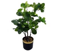 60cm Artificial Tropical Bonsai Ficus Tree